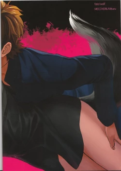 Page 22 of Fate Wolf