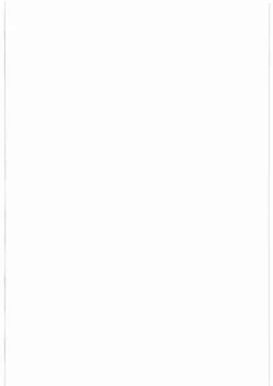 Page 3 of Lumina Makes Revolution