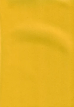 Page 3 of SHINJI 04 - rei & askua