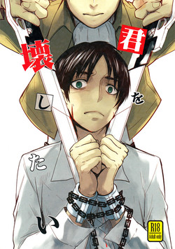 Download Kimi o Kowashi Tai