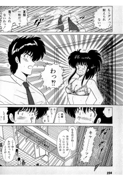 Page 228 of Puttsun Make Love Vol.1