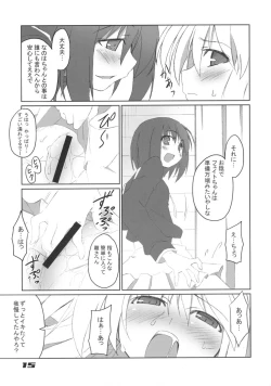 Page 15 of Fate-chan Igai to Moroi no A's