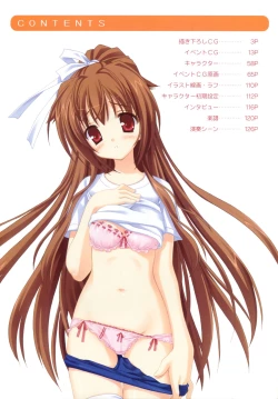 Page 4 of Bra-Ban Visual Fanbook