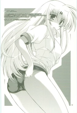 Page 14 of BORDER LINE