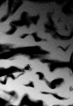 Page 4 of Yumemonogatari