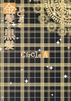 Page 14 of Toaru Kinpatsu to Kurokami