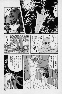 Page 16 of Fairy Saver V