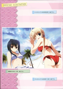 Page 47 of Primitive Link Visual Fanbook