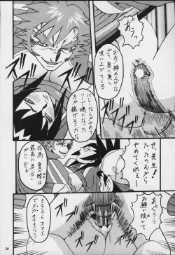 Page 25 of Model Justice