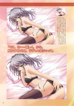 Page 13 of Akane Iro ni Somaru Saka Official Fanbook