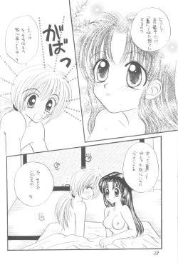 Page 27 of Seiryou
