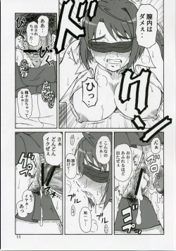 Page 14 of Mai-KAN