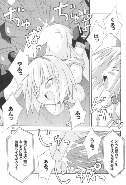 Page 24 of Bird Cage