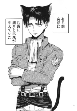 Page 3 of Nekomimi Heichou ga Hatsujoushiteru Dake no Hon