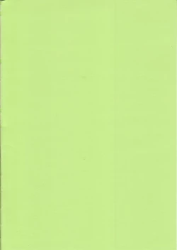 Page 41 of SWEET PAIN 02