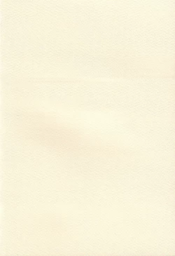 Page 190 of Evangelium Aeternitatis Eien no Fukuinsho i-ii + Omakebon