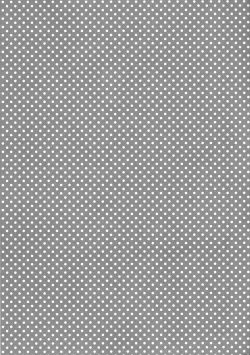 Page 19 of Boku wa Kotetsu-san no Gentei Goshujinsama