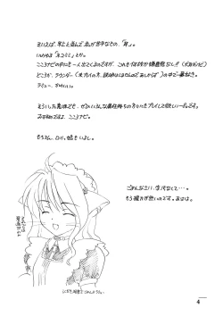 Page 4 of Shadow's 11