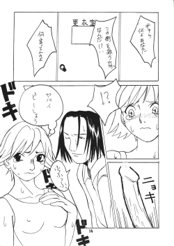 Page 13 of Kowaku no Koku