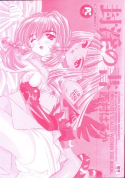 Page 3 of Fuuin No Sho - Obscenity Sealed within the Book