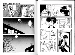 Page 10 of Lunatic Night 1