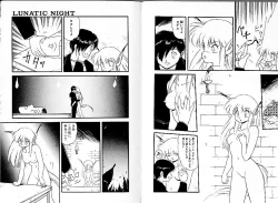 Page 29 of Lunatic Night 1