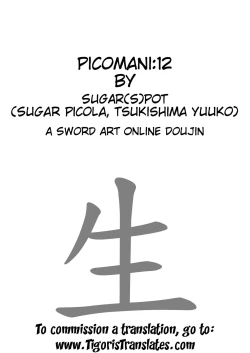 Page 3 of PICOMANI：12