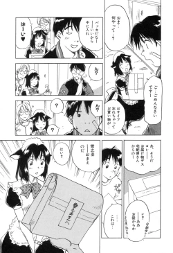 Page 161 of Maidroid Yukinojoh Vol.3