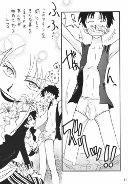 Page 51 of Koukai Nisshi DX