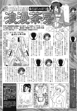 Page 334 of COMIC Mega GOLD 2008-05 Vol.7