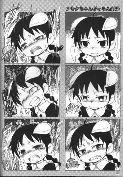 Page 21 of AKITA LAND CINABRE