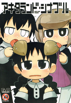 Download AKITA LAND CINABRE