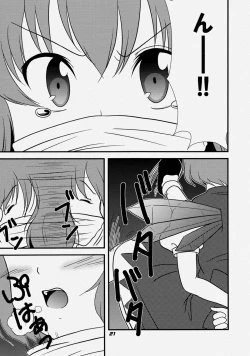 Page 24 of TOHO N+ FCR