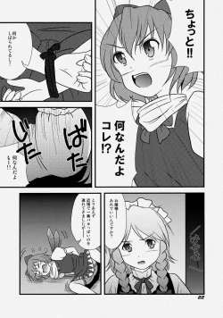 Page 25 of TOHO N+ FCR