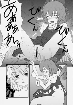 Page 32 of TOHO N+ FCR