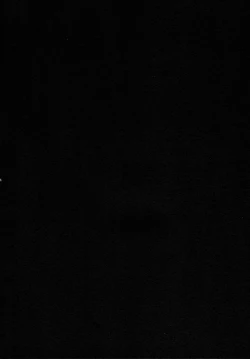 Page 4 of Oyaku Ni Tatsunodesu!