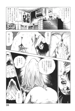 Page 37 of Urotsukidoji 2