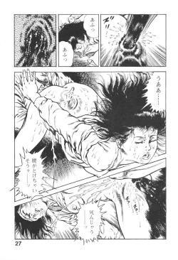 Page 27 of Urotsukidoji 3