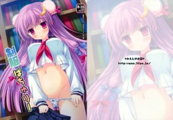 Page 2 of Seifuku Patchouli