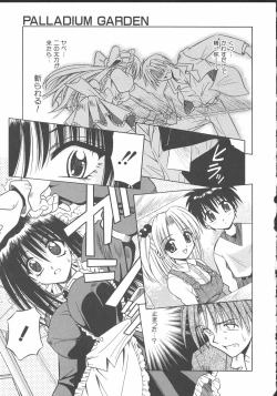 Page 20 of Palladium Garden