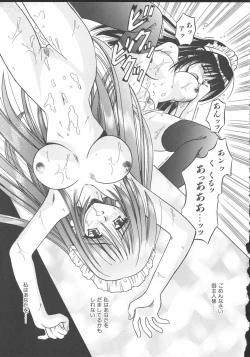 Page 30 of Palladium Garden