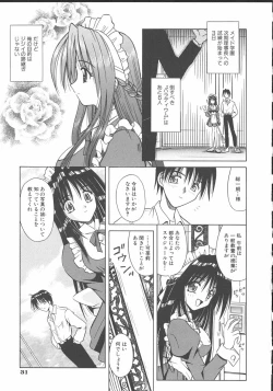 Page 34 of Palladium Garden