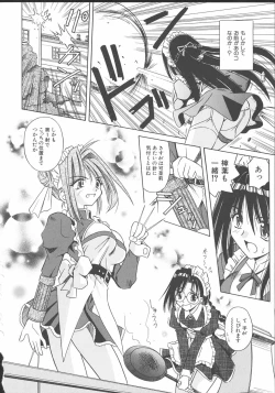 Page 37 of Palladium Garden