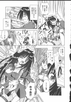 Page 38 of Palladium Garden