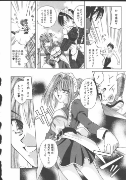 Page 39 of Palladium Garden