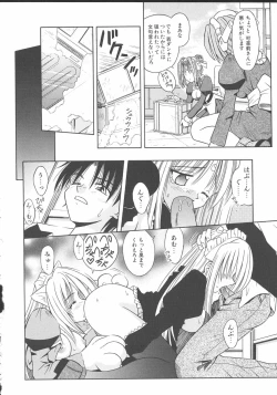 Page 93 of Palladium Garden