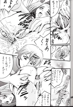 Page 14 of Boukyakuen