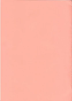 Page 27 of GR <Orange>