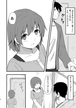 Page 3 of Hinadori