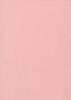 Page 200 of Papa Nanka Daikirai